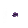 (image for) 2C-D Pellets 25mg