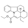 (image for) Body Supplements - Vinpocetine Vega Caps 90mg (60 pieces)