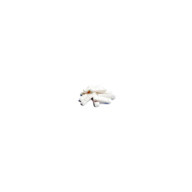 (image for) Flubrotizolam (FANAX) 0.5mg