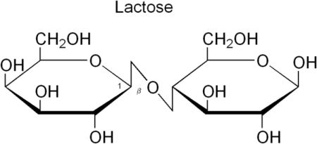 (image for) Lactose Powder - Food Grade