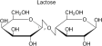 (image for) Lactose Powder - Food Grade