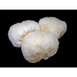 (image for) Lion's Mane Mushroom