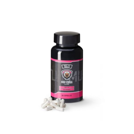 (image for) MK-2866 (Ostarine) Capsules - Next LVL Muscle