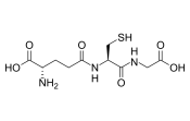 A generic image