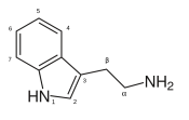 A generic image