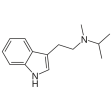 (image for) MiPT Powder
