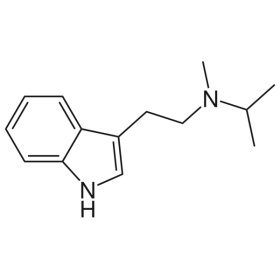 MiPT Powder