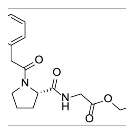(image for) Noopept Powder