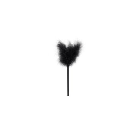 (image for) Secret Pleasure Chest - Black Fantasy