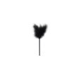 (image for) Secret Pleasure Chest - Black Fantasy