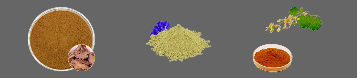 (image for) Tropane Alkaloids