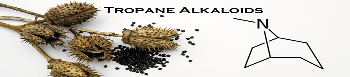 (image for) Tropane Alkaloids